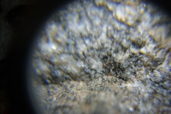 2017-02-08 14-09-06.JPG