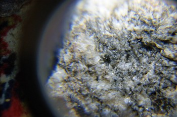 2017-02-08 14-09-00.JPG