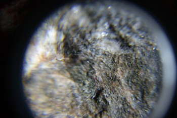 2017-02-08 14-08-12.JPG