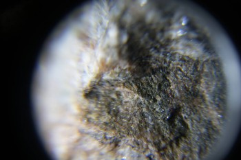 2017-02-08 14-08-04.JPG