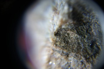 2017-02-08 14-07-58.JPG