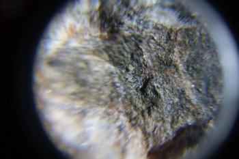 2017-02-08 14-07-48.JPG