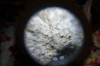 2017-02-08 14-07-16.JPG