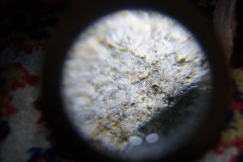 2017-02-08 14-07-14.JPG