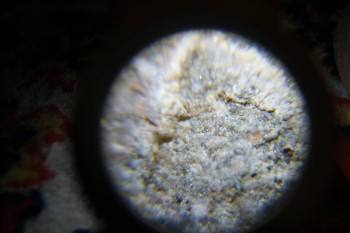 2017-02-08 14-07-10.JPG