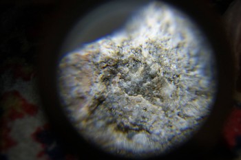 2017-02-08 14-06-58.JPG