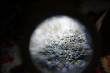 2017-02-08 14-06-42.JPG