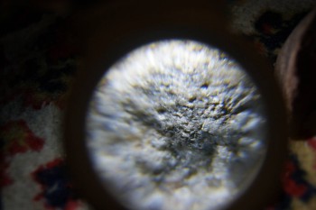 2017-02-08 14-06-38.JPG