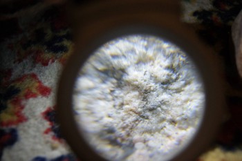 2017-02-08 14-06-32.JPG