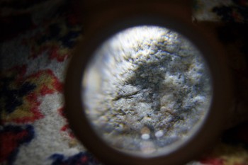 2017-02-08 14-06-26.JPG