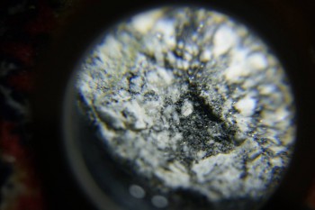 2017-02-08 14-05-44.JPG