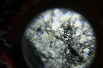 2017-02-08 14-05-40.JPG