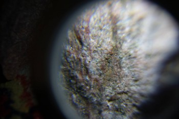 2017-02-08 14-05-30.JPG