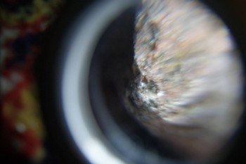 2017-02-08 14-05-20.JPG