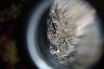 2017-02-08 14-05-16.JPG