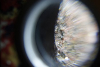 2017-02-08 14-05-10.JPG