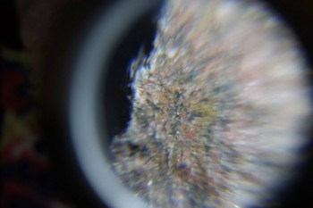 2017-02-08 14-04-58.JPG