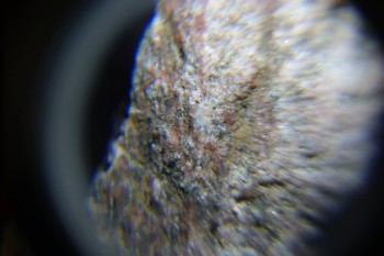 2017-02-08 14-04-28.JPG