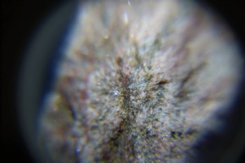 2017-02-08 14-04-02.JPG