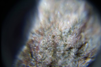 2017-02-08 14-03-52.JPG