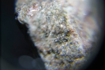 2017-02-08 14-03-10.JPG