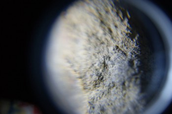 2017-02-08 13-49-24.JPG