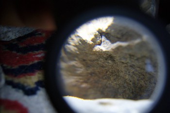 2017-02-08 13-49-02.JPG