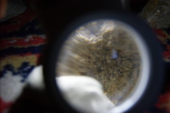 2017-02-08 13-48-48.JPG