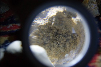 2017-02-08 13-48-36.JPG