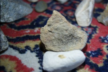 2017-02-08 13-48-02.JPG