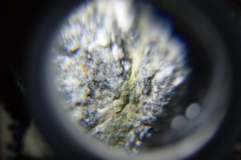 2017-02-08 13-47-36.JPG