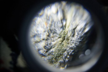 2017-02-08 13-47-30.JPG