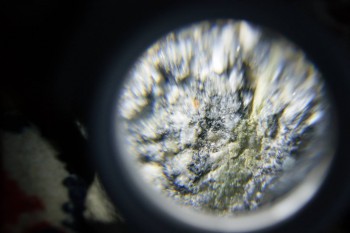 2017-02-08 13-47-24.JPG