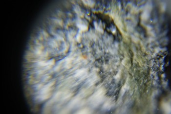 2017-02-08 13-46-20.JPG