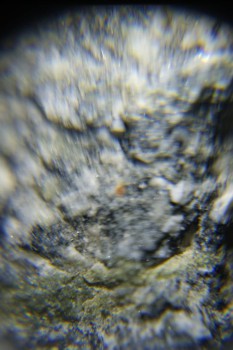 2017-02-08 13-46-02.JPG