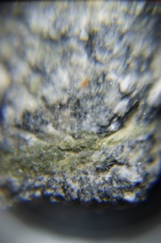 2017-02-08 13-45-42.JPG