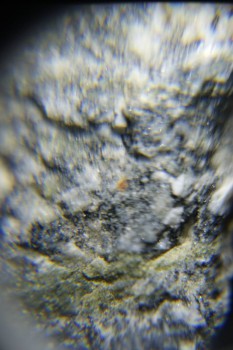 2017-02-08 13-45-28.JPG