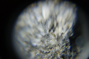 2017-02-08 13-45-08.JPG