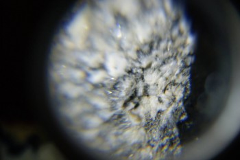 2017-02-08 13-44-56.JPG