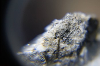 2017-02-08 13-44-16.JPG