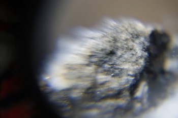 2017-02-08 13-43-34.JPG