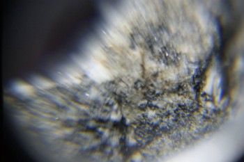 2017-02-08 13-43-20.JPG