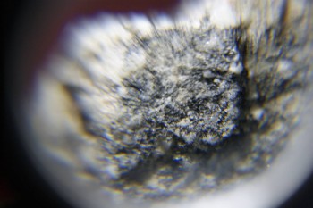 2017-02-08 13-43-06.JPG