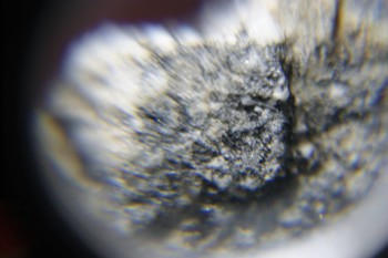 2017-02-08 13-43-02.JPG