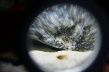 2017-02-08 13-42-14.JPG