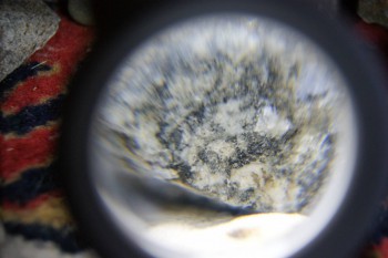 2017-02-08 13-42-04.JPG