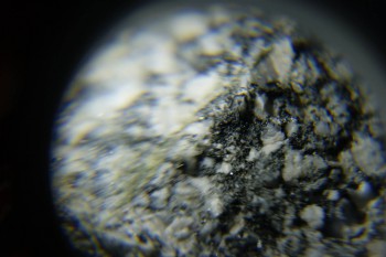 2017-02-08 13-41-32.JPG