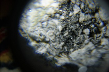 2017-02-08 13-41-24.JPG