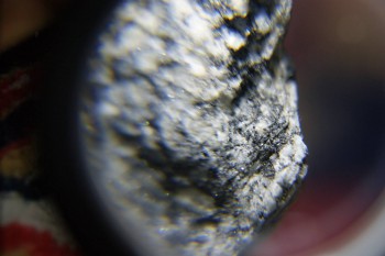 2017-02-08 13-40-48.JPG