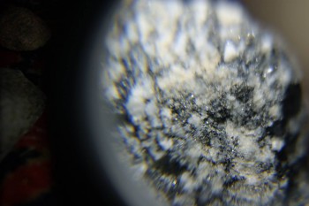 2017-02-08 13-40-28.JPG